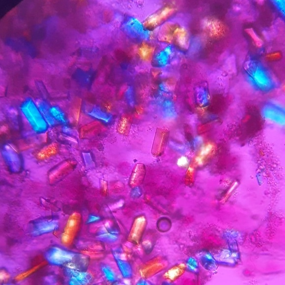 Meet your Posher, Laura - Picture 1 of 1